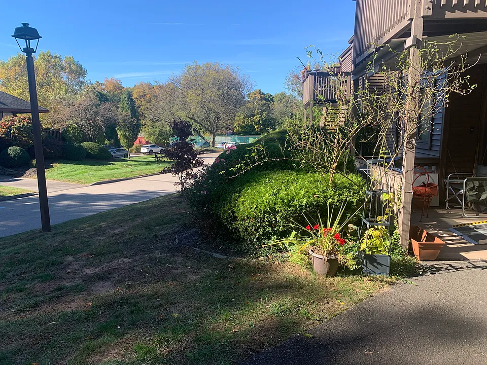 back porch view