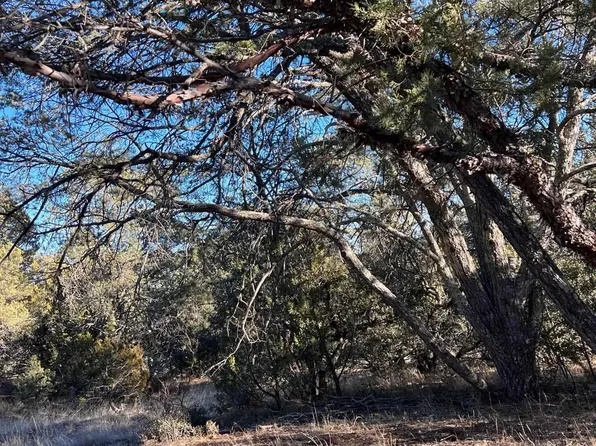 83 Bear Mountain Rd, Silver City, NM 88061