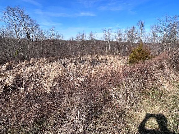 2nd image of 2557 Kentucky #1071