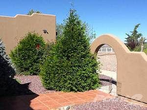 Front Courtyard