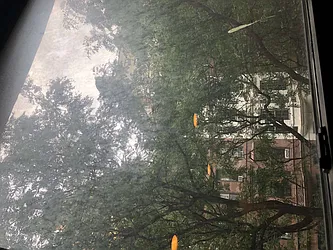 Rented by One New York Realty Inc