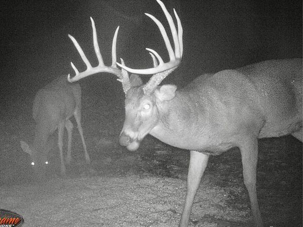 Highway 112 LOT WP001, Dawson Springs, KY 42408