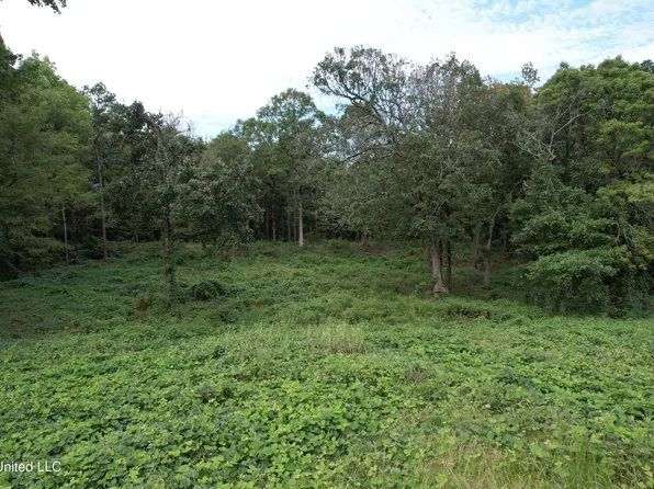 7 Highway S, Holly Springs, MS 38635