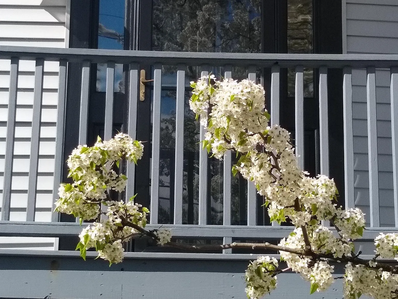 13 Lowe St — Photo 2