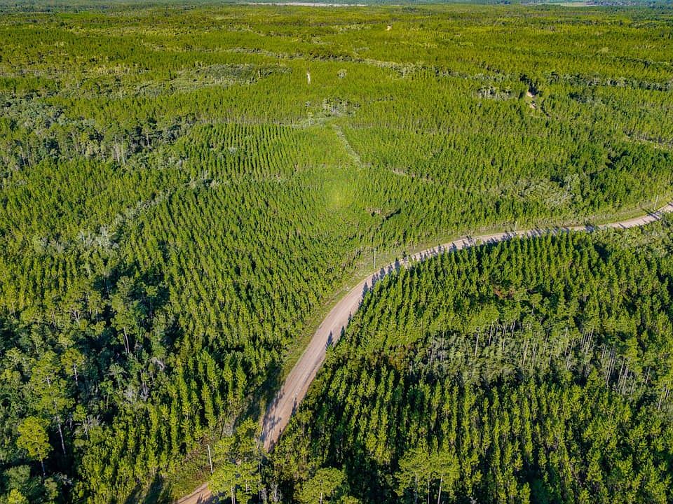 Dji 20260804083443 0153 D Hdr
