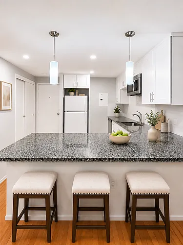 121 Tremont St #420 Photo 1