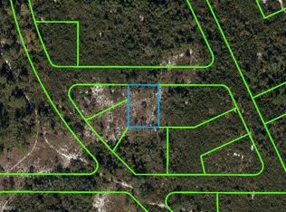311 Young Love Ln, Lake Placid, FL 33852
