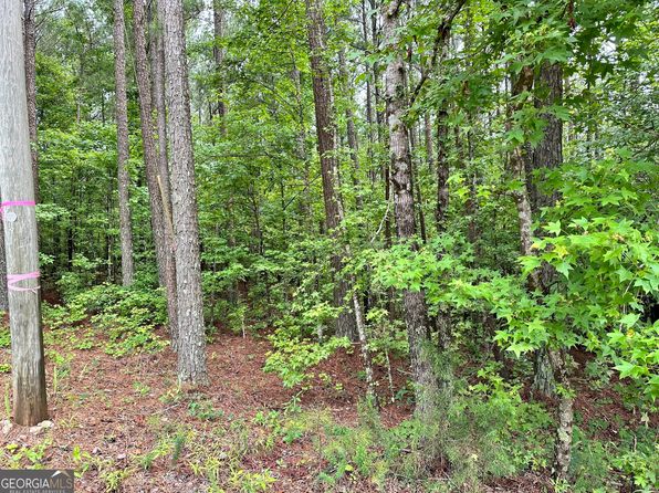 131 Johnson Rd, Locust Grove, GA 30248