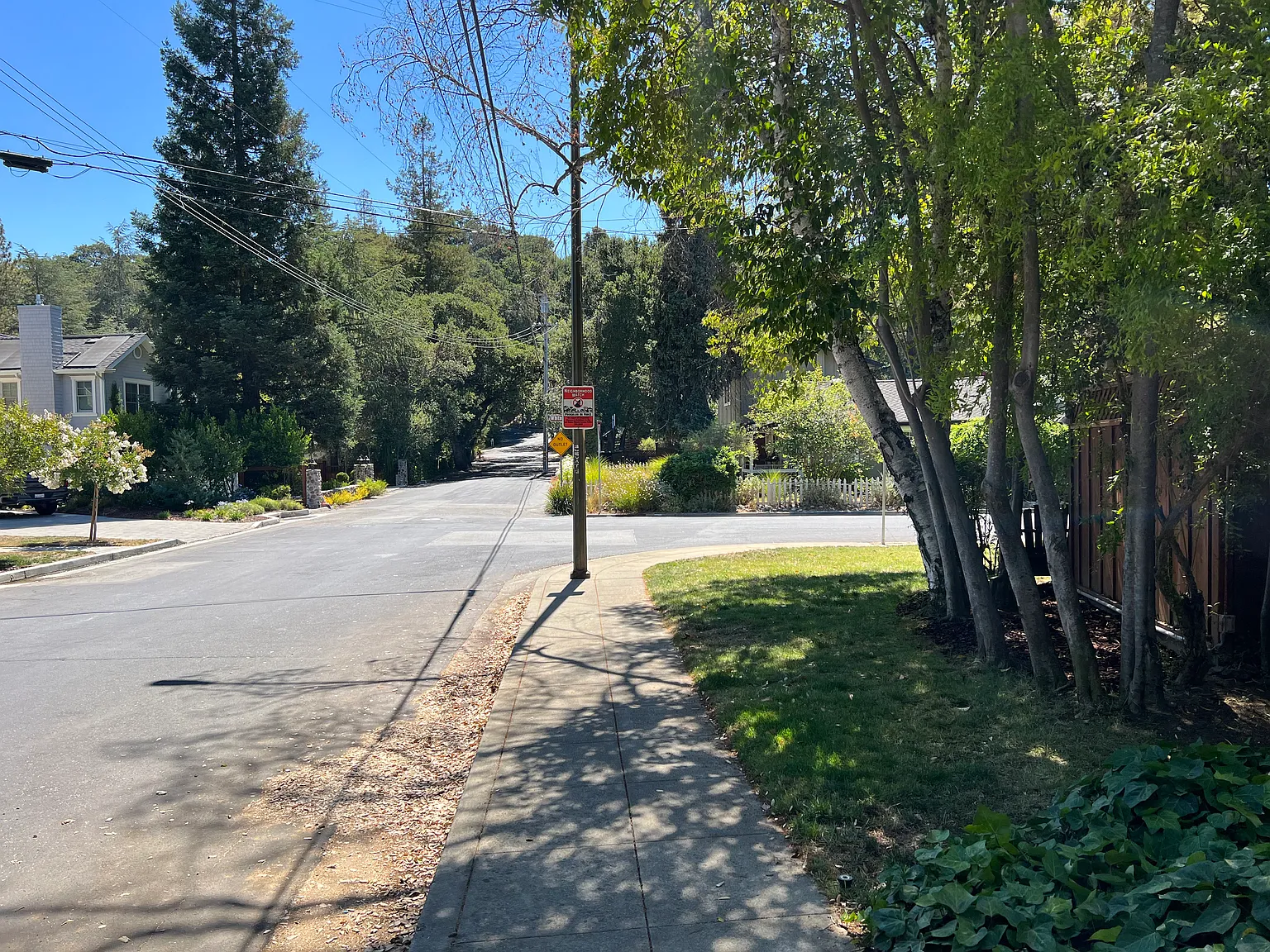 Wheeler Ave, Los Gatos — Photo 2