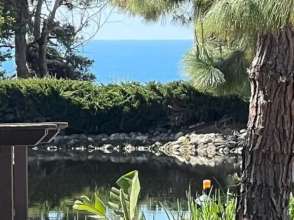 27076 Mill Pond Rd #9, Dana Pt, CA 92624