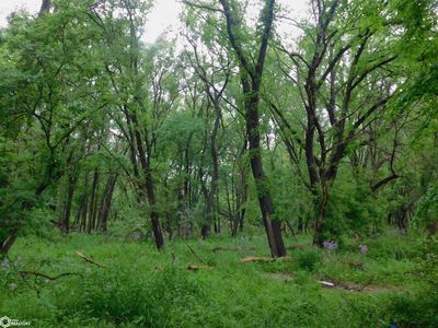 N 24th St, Denison, IA, 51442