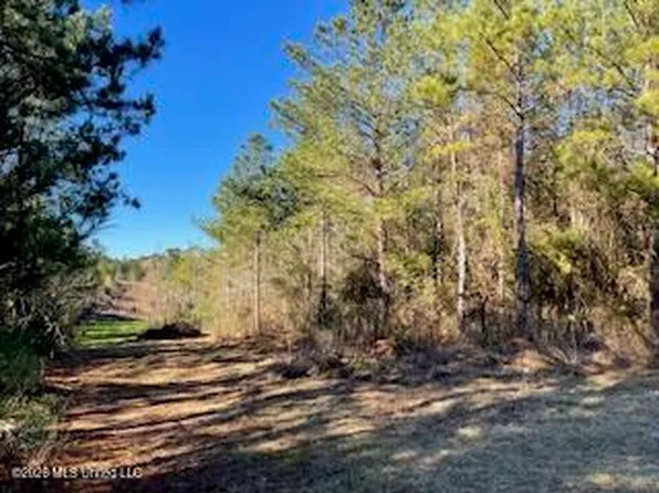 Linwood Ln NE, Brookhaven, MS 39601