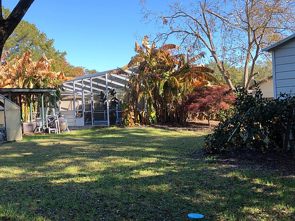 View from back of yard 