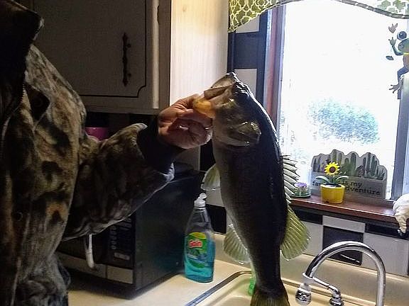 Catch this from YOUR pond