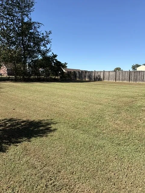 3 bed, 1340 sqft, $1,800 — Photo 4