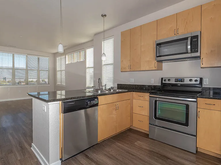 Kitchen and Living Area with Hard Surface Flooring