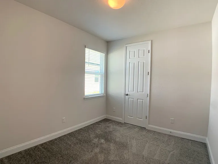 1499 Tropical Pine Cv — Photo 11