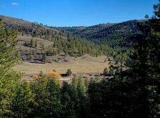 2 Scenic Short Plat Dr, Davenport, WA 99122