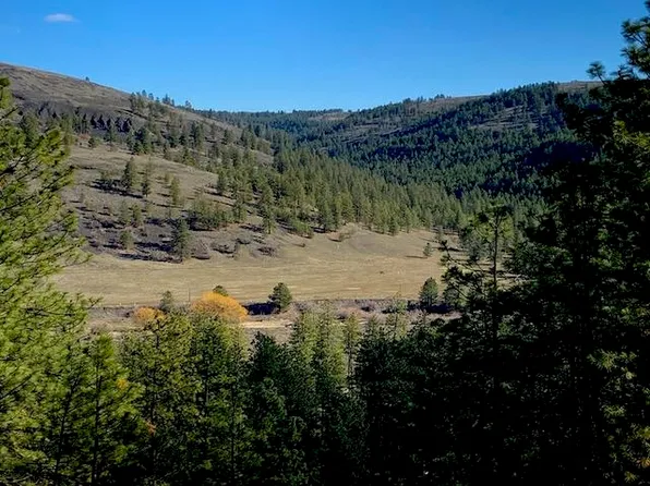 2 Scenic Short Plat Dr, Davenport, WA 99122