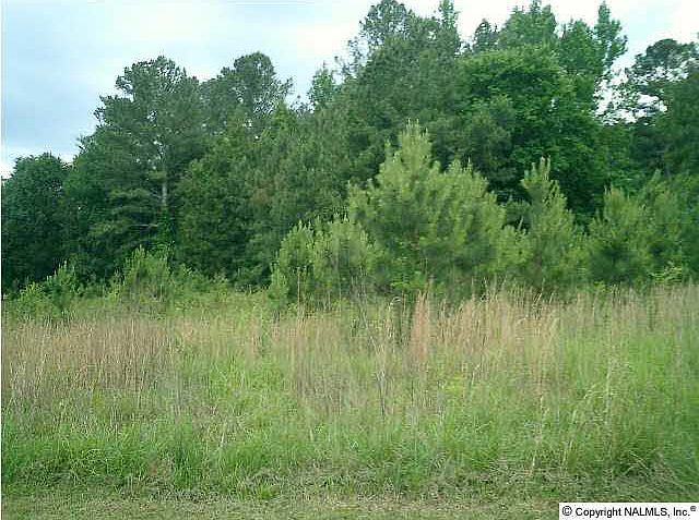 2nd image of E Upper River Rd