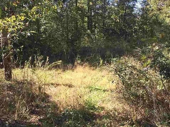 3rd image of 167 Riverridge Dr
