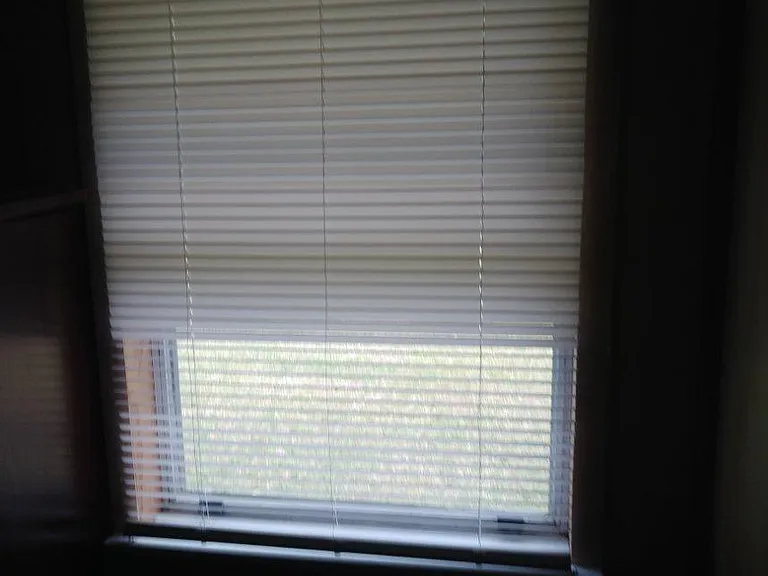 4508 Lanier Ave #2A — Photo 9