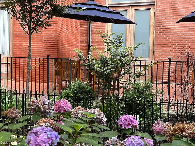 Courtyard 4