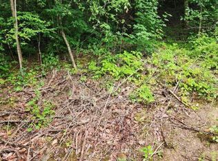 4473 Chavis Rd, Cosby, TN 37722