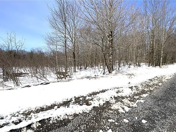3rd image of Town Line Rd Lot 44