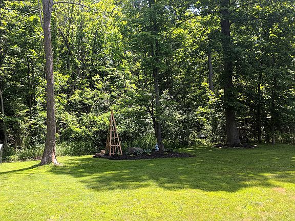 Natural backyard setting.
