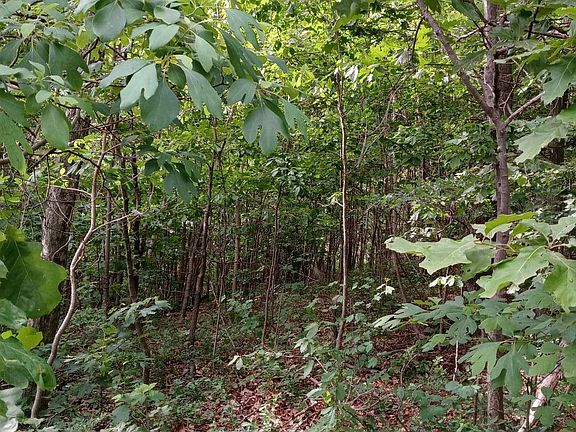 3rd image of 311 White Deer Dr Lot 18