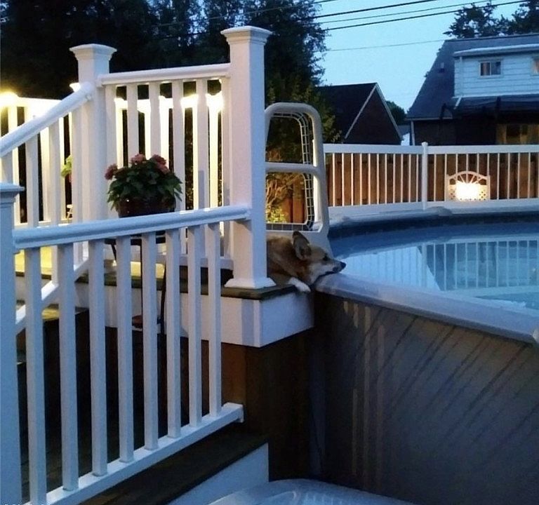 21275 Eaton Rd, Fairview Park, OH 44126 MLS 5033204 Zillow