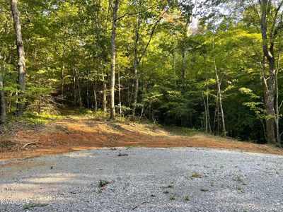 Thompson Tr, Winfield, TN, 37892