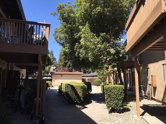 Court yard