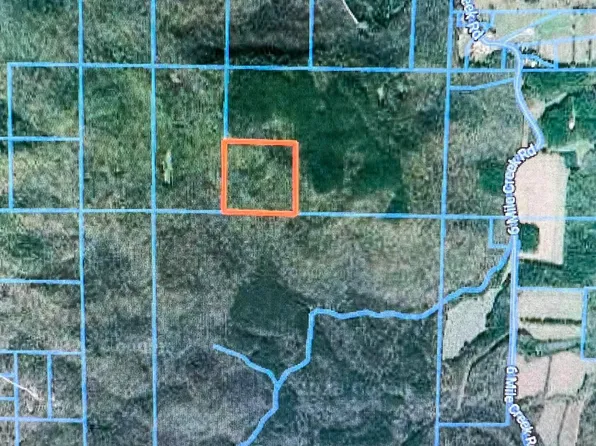 40.08 Six Mile Creek Rd, Somerville, AL 35670