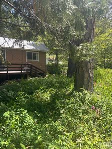 42748 Yellow Pine Ln, Posey, CA, 93260