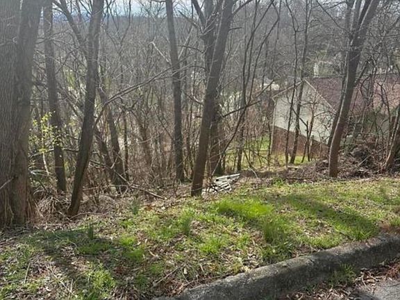 4th image of 322 Bayberry Dr