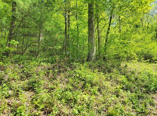 LOT 29 Ac Roan Creek Rd LOT 5, Butler, TN 37640