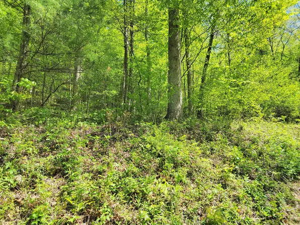 LOT 29 Ac Roan Creek Rd Lot 5, Butler, TN 37640
