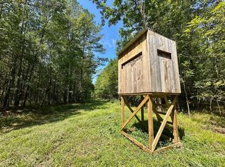 1 Forest Service Rd #562, Pulaski, MS 39152