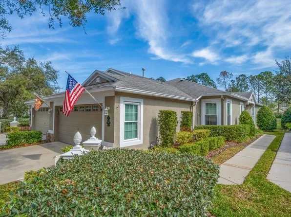 5718 Heronpark Pl, Lithia, FL 33547