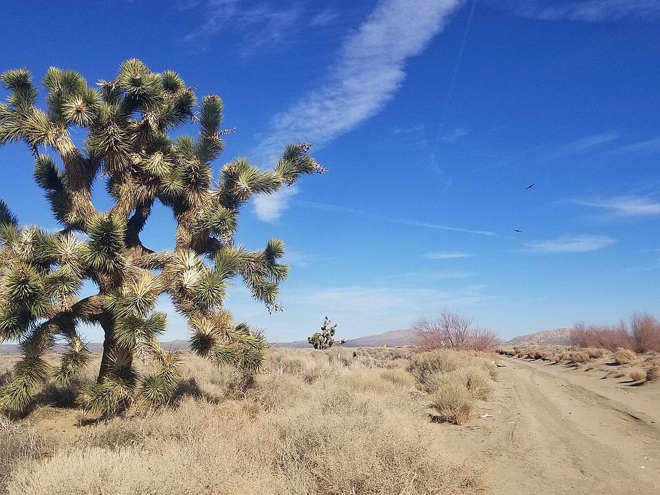 1st image of E Avenue K8