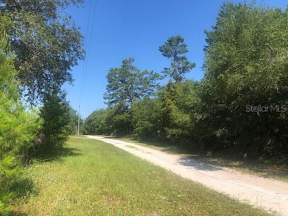 3rd image of Stearns Dr