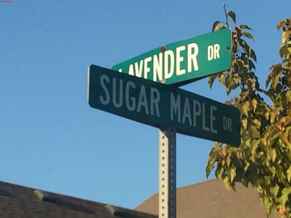 5th image of 16958 Sugar Maple Dr
