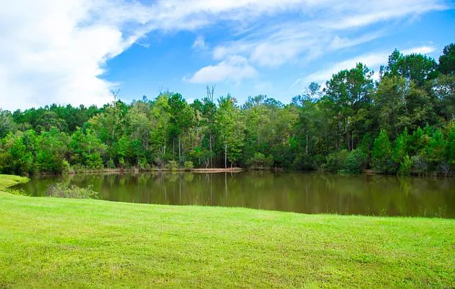 124 Indigo Marsh Cir — Photo 31