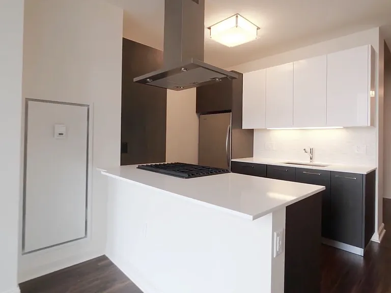 224 N Clark St #1907 — Photo 14
