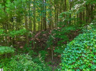 0 N West Torch Lake Dr, Kewadin, MI 49648