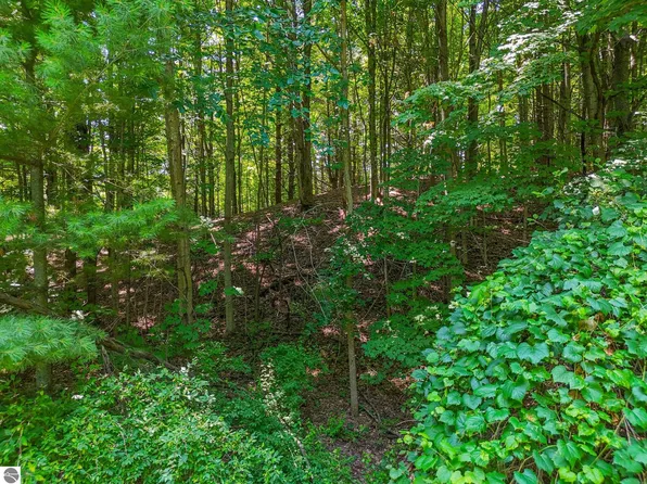 0 N West Torch Lake Dr, Kewadin, MI 49648