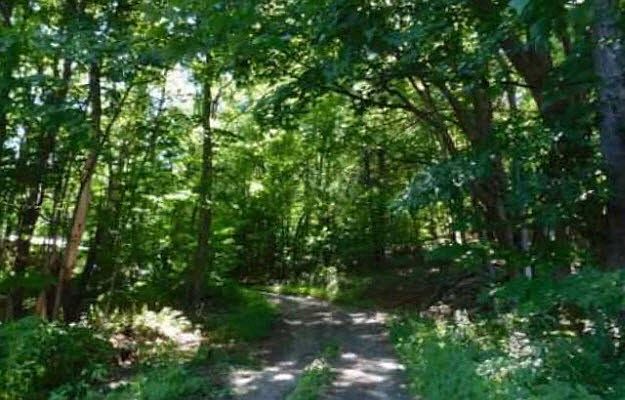 2nd image of 728 Missing Link Rd