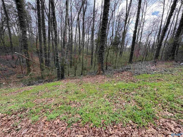 Whippoorwill Ln, Albertville, AL 35950